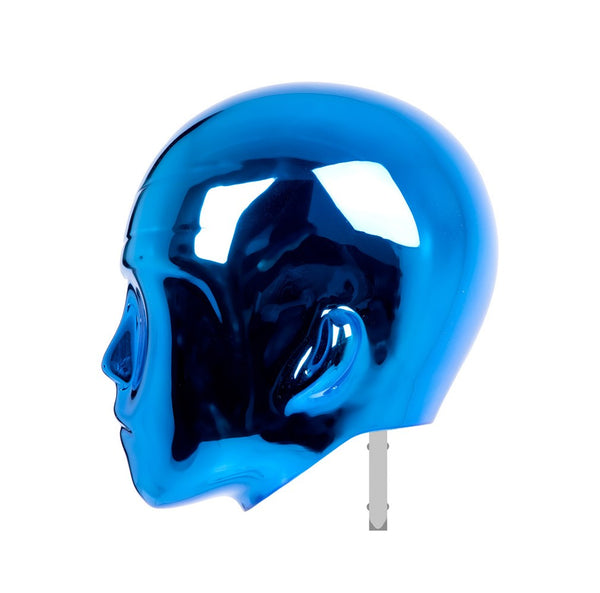 FEMALE TRENDY FACE HEADS (MAF-400/BLUCHR)