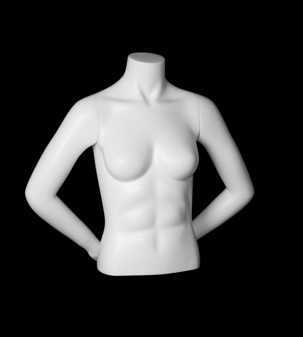 1/2 FEMALE TORSO W/ARMS (MAF-A4-3305)