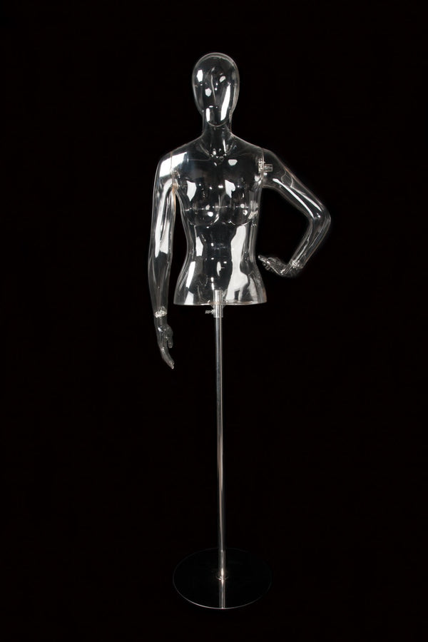 FEMALE CLEAR 1/2 TORSO W/ EGG HEAD (EGG3) W/ ARMS & BASE (MAF-CL4-EGG3/CL)