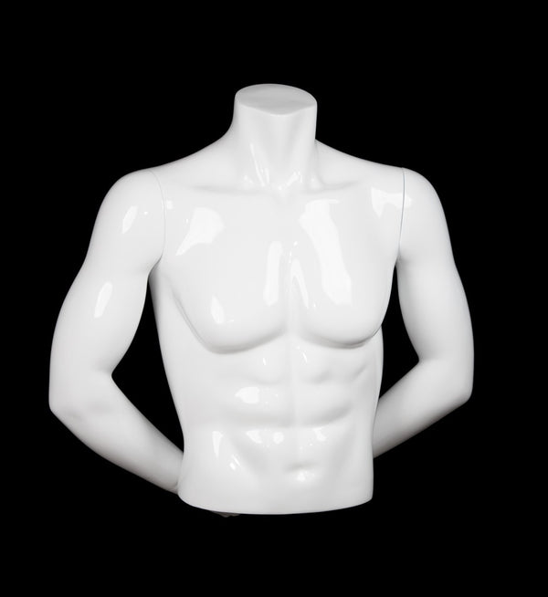 MALE 1/2 MUSCULAR TORSO W/ARMS (MAM-A4-3505/SWHT)