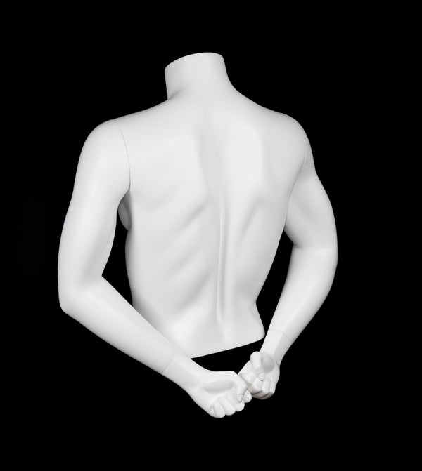 MALE 1/2 MUSCULAR TORSO W/ARMS (MAM-A4-3505/WHT)