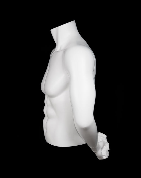 MALE 1/2 MUSCULAR TORSO W/ARMS (MAM-A4-3505/WHT)