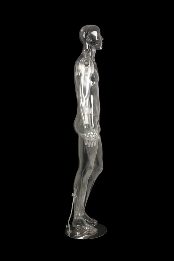 MALE CLEAR MANNEQUIN (MAM-CL2-100-A)