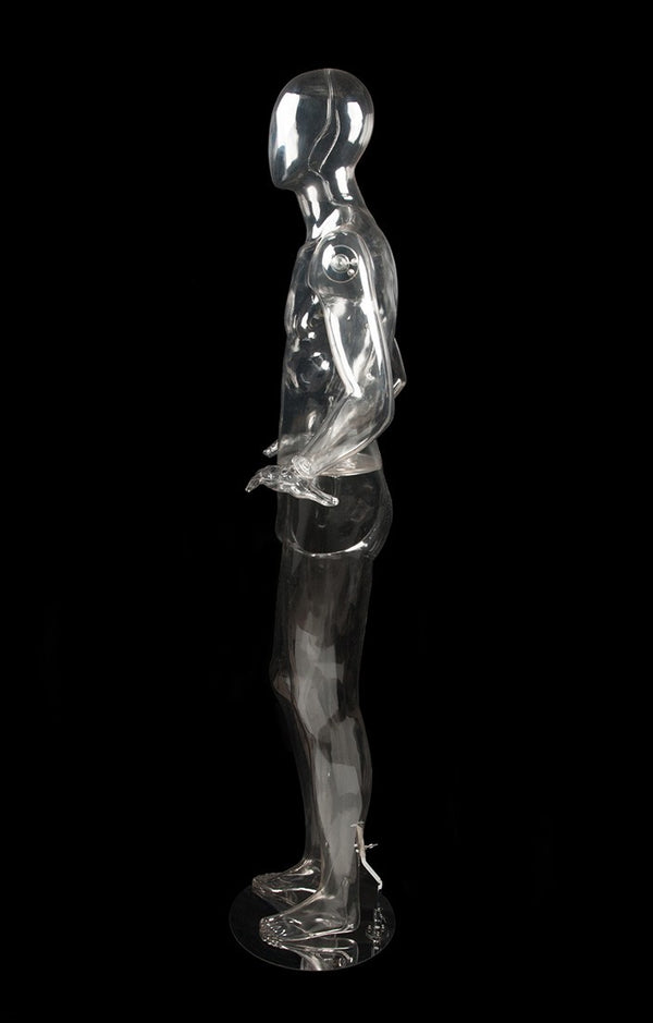 MALE EGG FACE CLEAR MANNEQUIN (MAM-CL2-EGG)