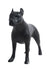 PIT BULL DOG MANNEQUIN (MA-DOG-PIT/BLK)