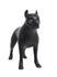 products/ma-dog-pit_bk_f3_1_df7bea78-bea8-40a6-b7d3-64eda1e421ae.jpg