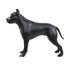 products/ma-dog-pit_bk_r1_1_7191144a-672e-4a4c-be56-745bcccd3f90.jpg
