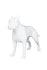 PIT BULL DOG MANNEQUIN (MA-DOG-PIT/SWHT)