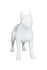 products/ma-dog-pit_swht_f3_3_7d3803ee-06c3-48e2-9a68-33cc256da704.jpg