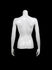 1/2  FEMALE W/ARMS MANNEQUIN (MAF-A4-3341/SWHT)