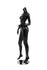 products/maf-body6_sjbk_headless_r1_2_3_9ed2950f-f1a0-468f-8a52-c364eb247811.jpg
