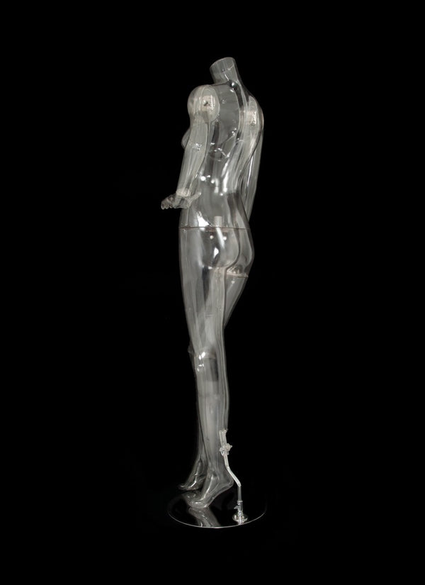 FEMALE HEADLESS CLEAR MANNEQUIN (MAF-CL1-101-N)