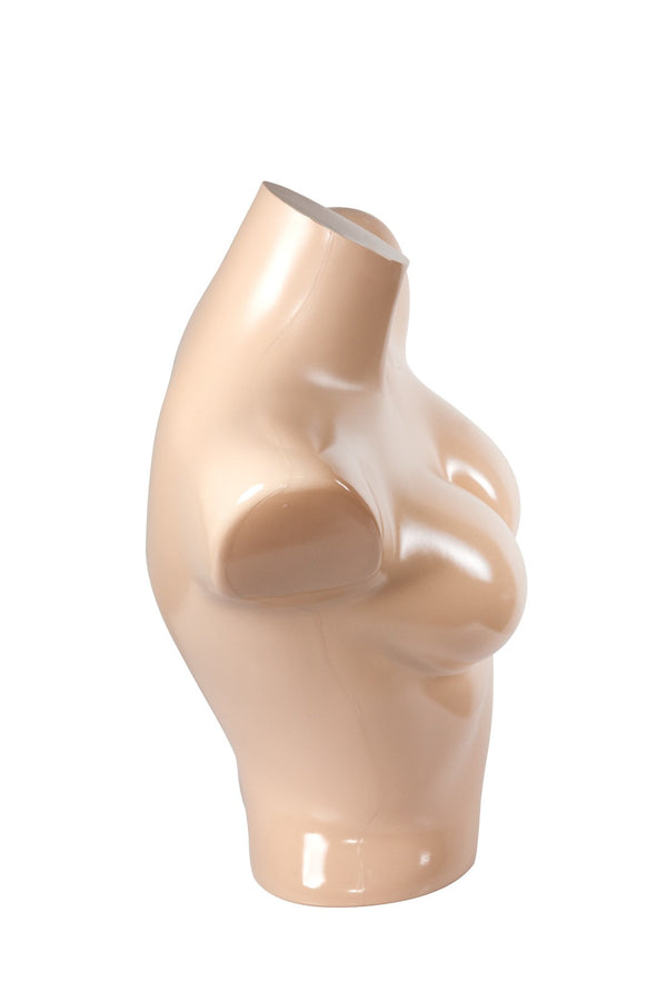 FEMALE CLEAR 1/2 TORSO (MAF-CL4-102/SK)