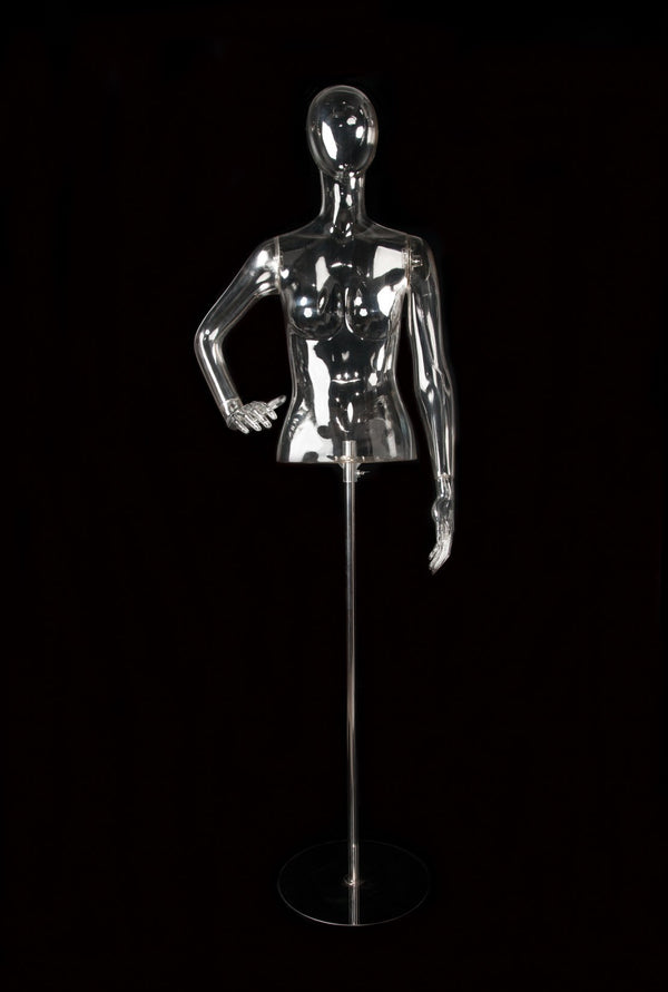 FEMALE CLEAR 1/2 TORSO W/ EGG HEAD (EGG3) W/ ARMS & BASE (MAF-CL4-EGG3/CL)