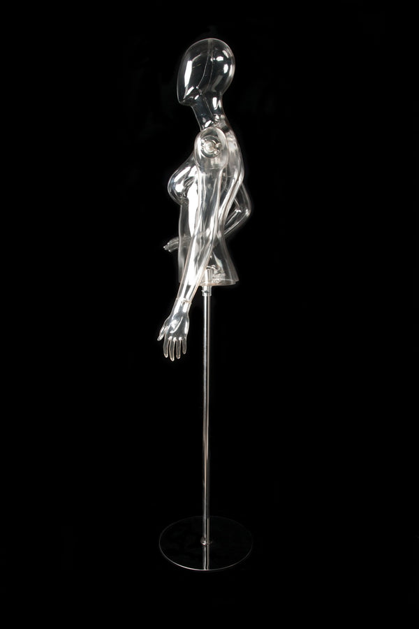 FEMALE CLEAR 1/2 TORSO W/ EGG HEAD (EGG3) W/ ARMS & BASE (MAF-CL4-EGG3/CL)