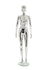 products/maf-p2-402_cr_f_1_13063cf3-eba2-46b8-9be2-f1d906badcf6.jpg