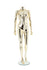 products/maf-p2-402_gcr_headless_f_5164c697-2a9f-4b34-a1c4-982a5bf8b539.jpg