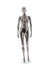 PLASTIC FEMALE MANNEQUIN (106) (MAF-P2-406/BLCH)