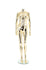 products/maf-p2-406_gcr_headless_f_21517864-5630-491f-8442-8c69ac2e65fb.jpg