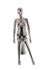 products/maf-p2-420_bcr_f_head_1.jpg