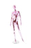 products/maf-p2-b401_picr_head_f_e6c2de4d-aa23-4701-a9fb-d3f55918ba48.jpg