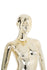 products/maf-p2-body1_gcr_abstract_dt1_3.jpg
