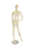 products/maf-p2-body1_gcr_abstract_f_2.jpg