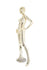 products/maf-p2-body1_gcr_abstract_r1_2.jpg