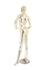 products/maf-p2-body1_gcr_egg_b_1.jpg