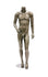 Male Headless Mannequin (MAM-A1-111)