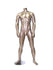 MUSCULAR MALE MANNEQUINS (MAM-A1-MB1)