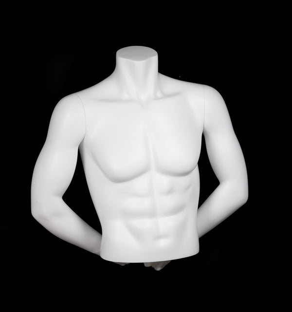 MALE 1/2 MUSCULAR TORSO W/ARMS (MAM-A4-3505/WHT)