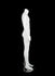 products/mam-body5_swht_headless_r2_3.jpg