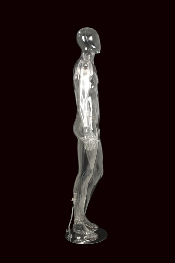 MALE EGG FACE CLEAR MANNEQUIN (MAM-CL2-EGG1-A)