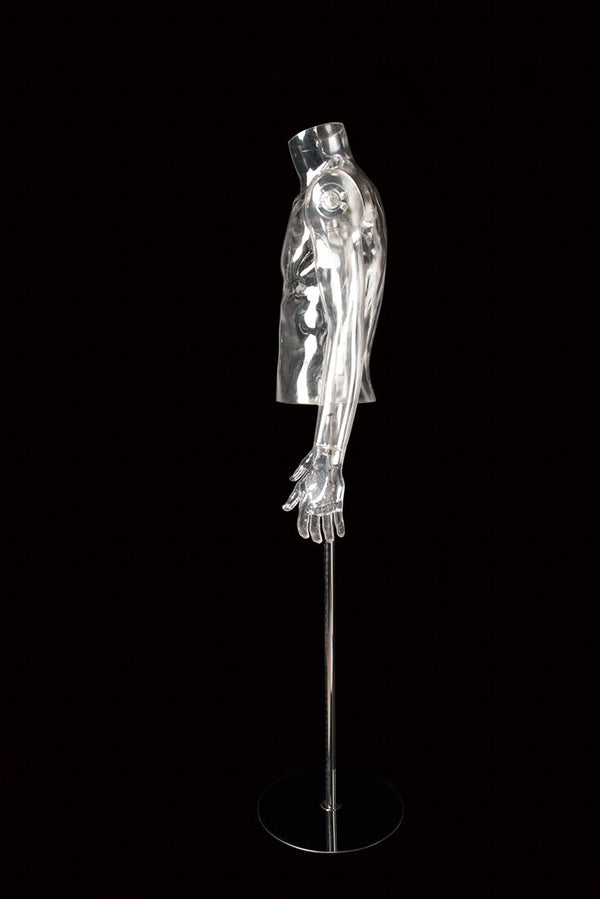 MALE CLEAR 1/2 TORSO W/ ARM (001) (MAM-CL4-001)