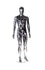PLASTIC MALE EGG HEAD MANNEQUIN (MAM-P2-EH1/CR)