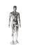 products/mam-p2-eh1_chr_f_2_9ff23a90-f57b-49fa-a0e6-e6690ad173cf.jpg