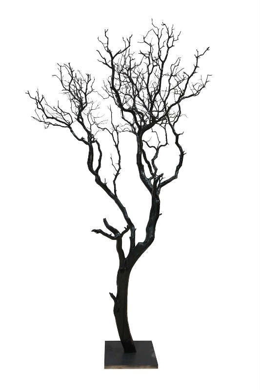 TREE-6/BLK