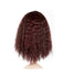 FRIZZY LONG (WIG-1488)